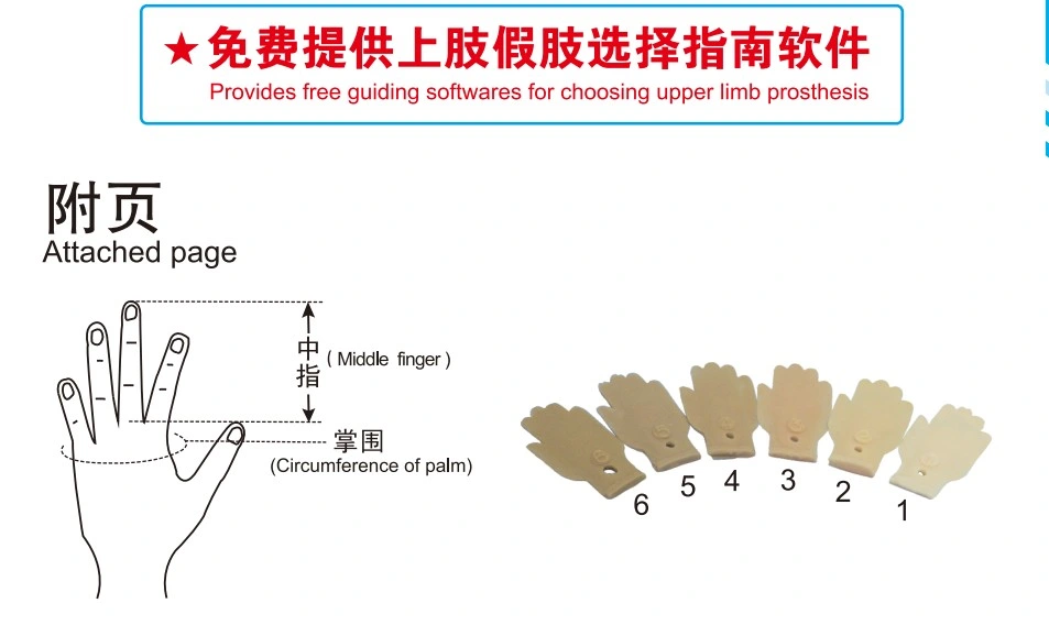 High Quality Prosthetic Myoelectric Hand Prosthetics Upper Limbs